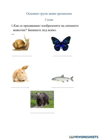 работен лист 1