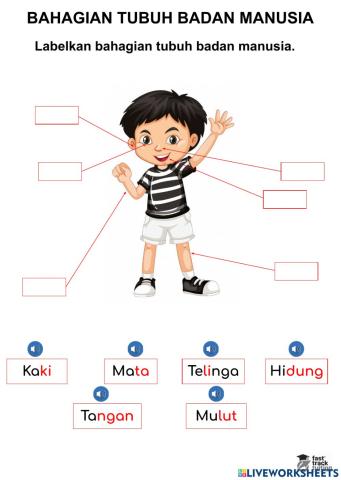 Tubuh Badan Manusia