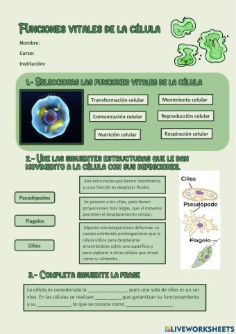 Funciones vitales de las celulas