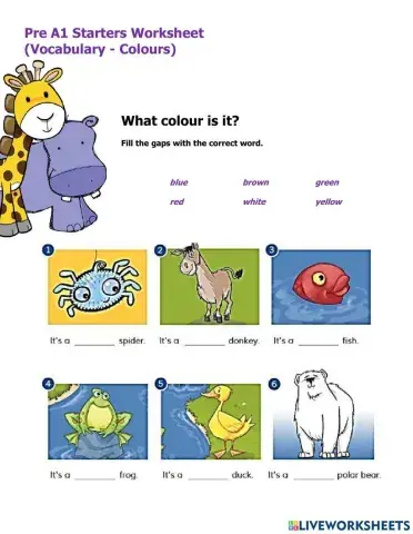 Pre A1 Starters Worksheet Vocabulary Colours