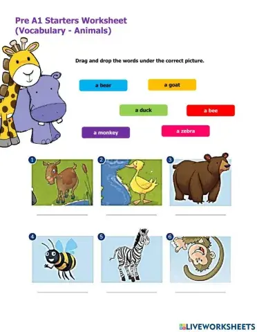 Pre A1 Starters Worksheet Vocabulary Colours