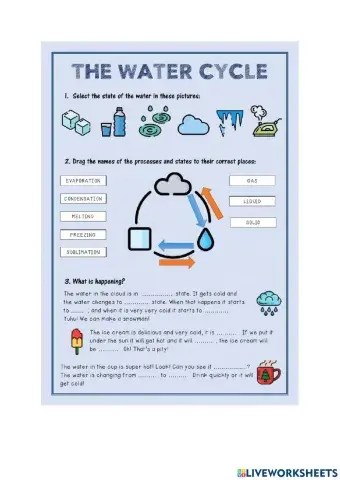 The water cycle