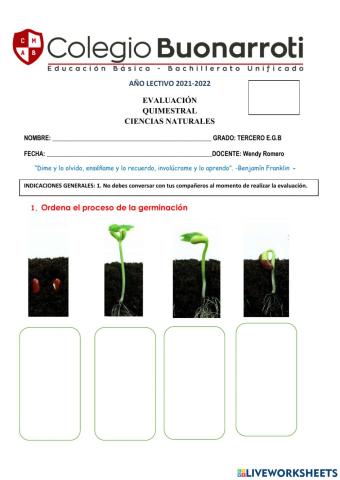 Quimestral ciencias naturales