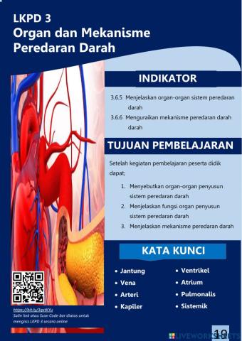 Lkpd 3 Organ dan Mekanisme Peredaran darah