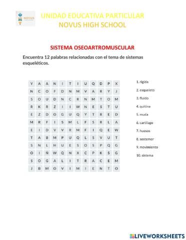 Sistema oseoartromuscular