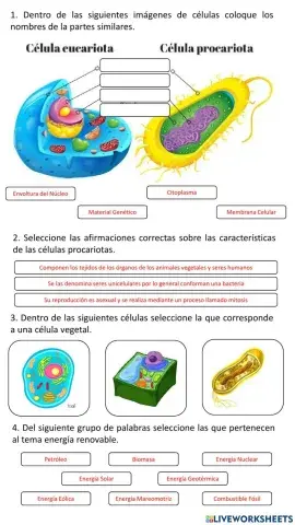 Taller sobre Célula y Fuentes de Energía