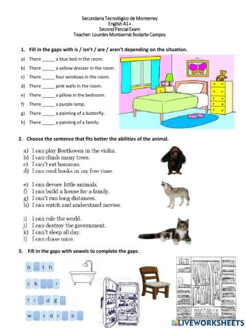 Second Parcial Exam English A1+