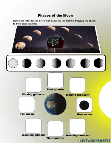 Phases of the moon