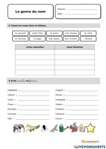 Noms masculains et féminins
