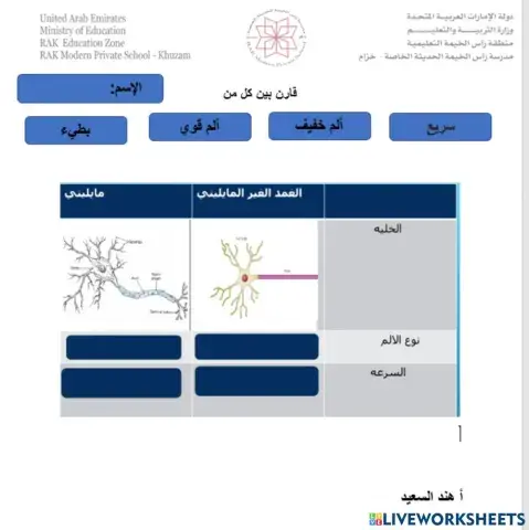 الخلايا العصبية