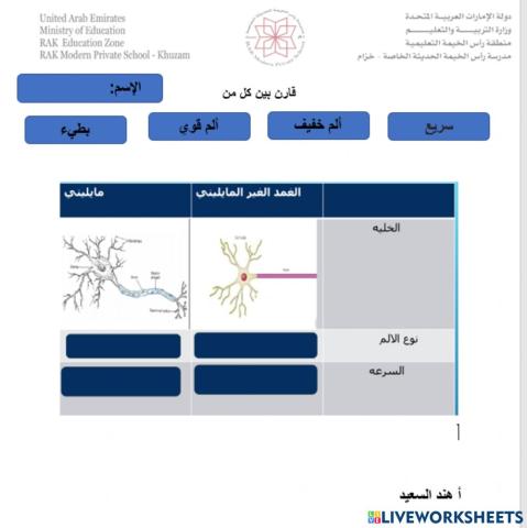 الخلايا العصبية