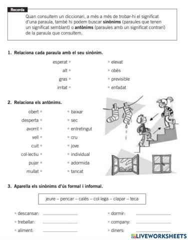 Sinònims i antònims