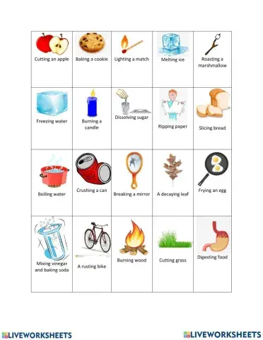 Physical and chemical changes