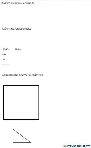 Matematikos testo patikrinimas