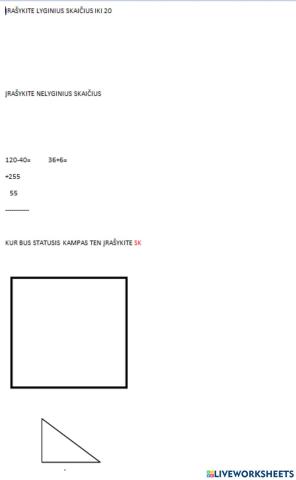 Matematikos testo patikrinimas