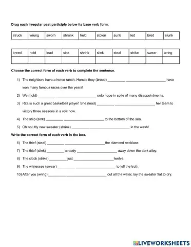 Irregular Verbs in the Past Participle
