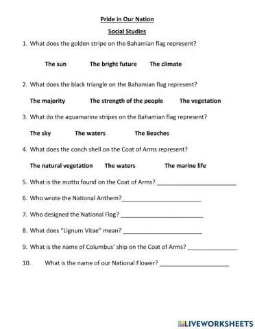 Pride in Our Nation- Social Studies