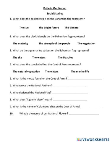 Pride in Our Nation- Social Studies