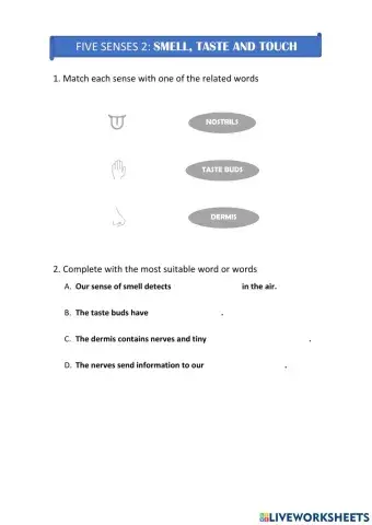 Smell, taste and touch