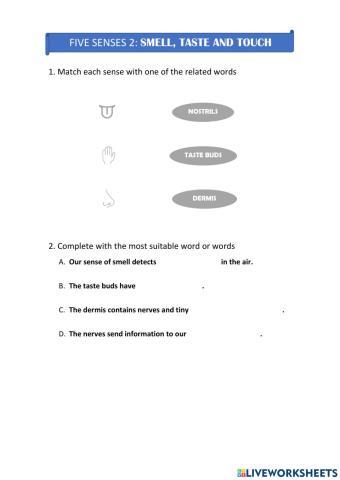 Smell, taste and touch