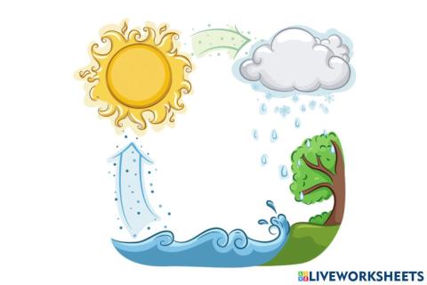 Cycle of water