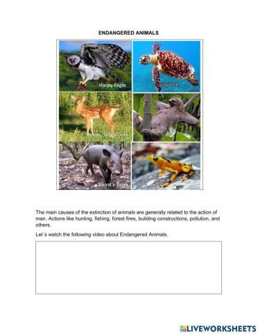 Endangered animals in Panama