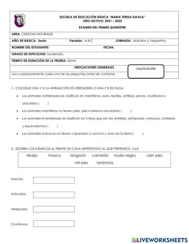 Ciencias naturales - examen - primer quimestre
