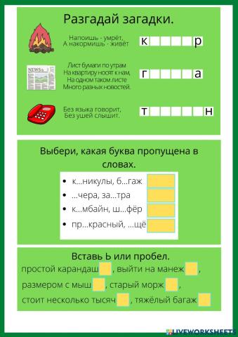 Орфография