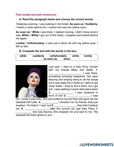 Simple past and past continuous