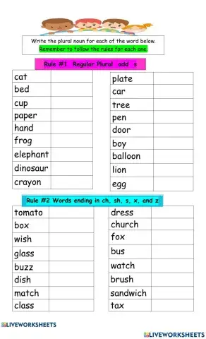 Singular - Plural Nouns 