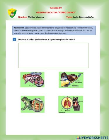 Sistemas Respiratorio