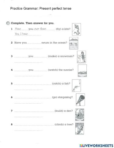Homework Chapter 9 - Present perfect