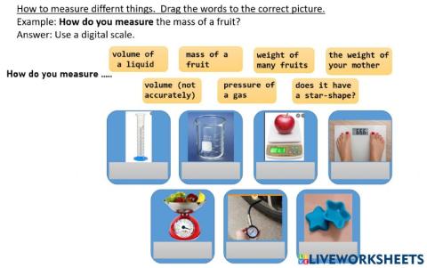 21 January review worksheet 1
