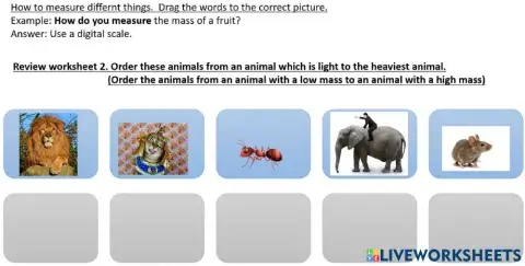 Review worksheet 2 weight