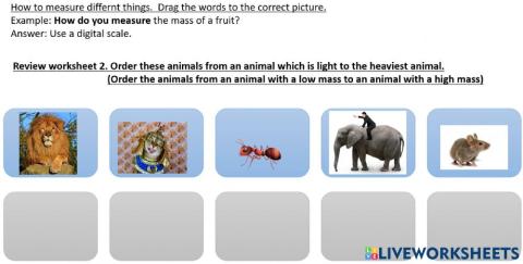 Review worksheet 2 weight