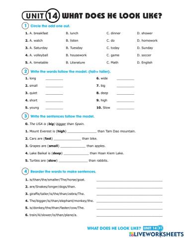 What does he look like?