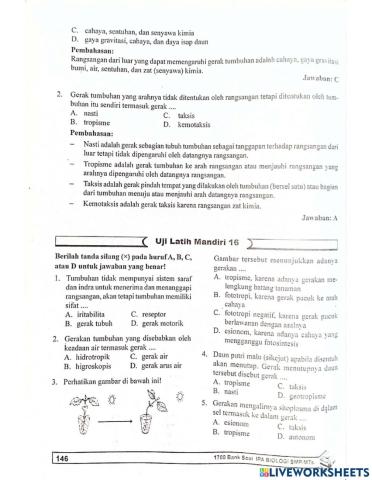 Biologi bab 16 Gerka pada tumbuhan