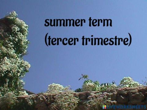 Separator - 3rd term