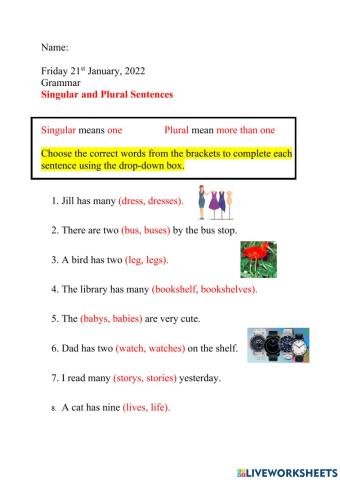 Plural Worksheet
