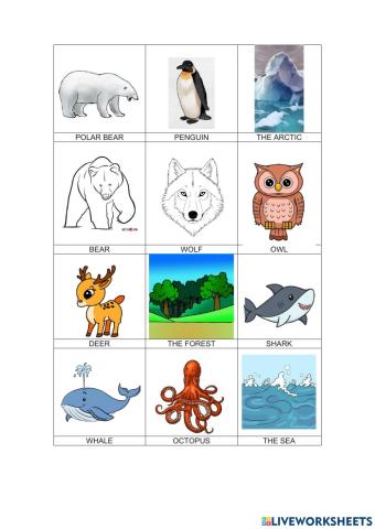 Animals and habitats