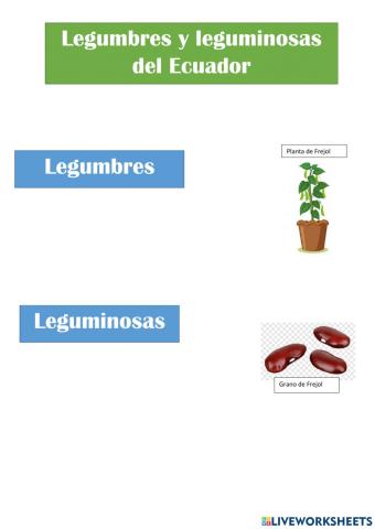 Legumbres y leguminosas
