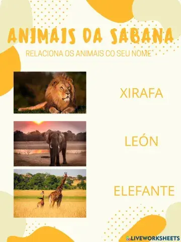 RELACIONA CADA ANIMAL CO SEU NOME