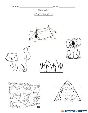 Camping fun