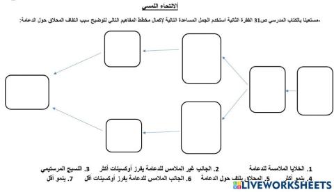 الانتجاء اللمسي