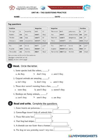 Tag Questions Worksheet