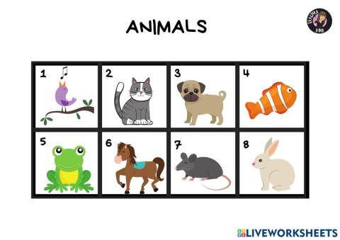 Animals