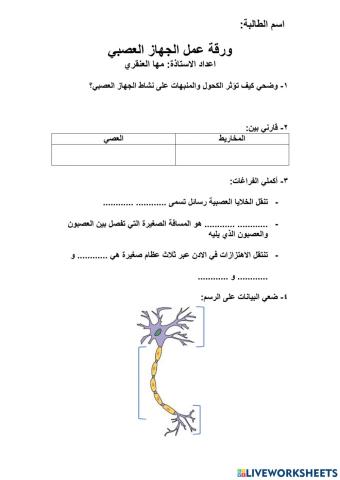 الجهاز العصبي