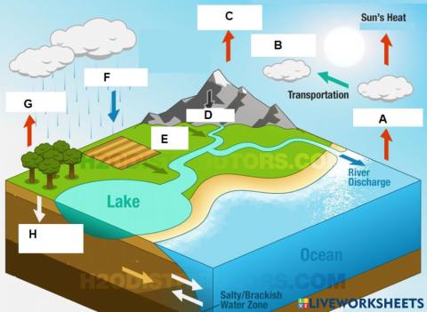 Water cycle