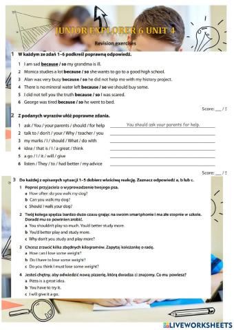 Junior Explorer 6 Unit 4 revisione