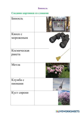 Собачка Соня